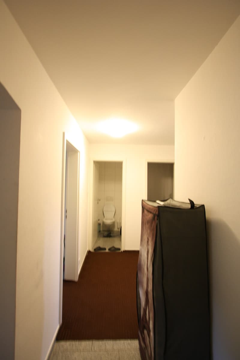 Charmante 2-Zimmer-Dachgeschosswohnung in Bern-Wabern (3)