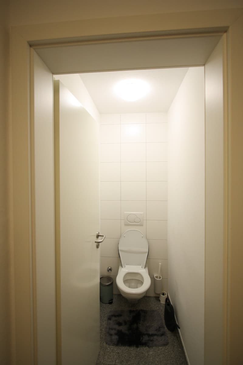 Charmante 2-Zimmer-Dachgeschosswohnung in Bern-Wabern (10)