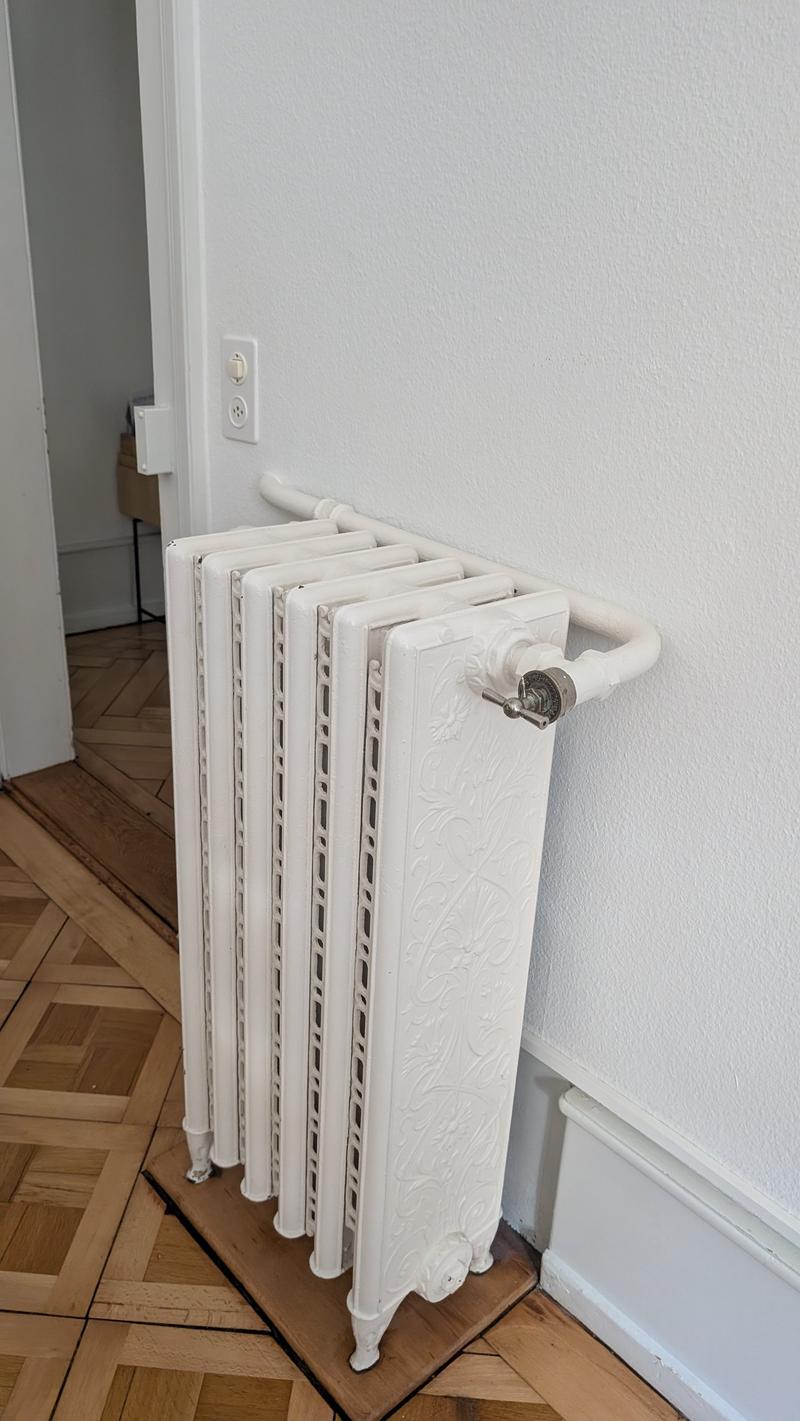 Charmante 3.5 Zimmer Stadtwohnung im «Breitsch» (14)