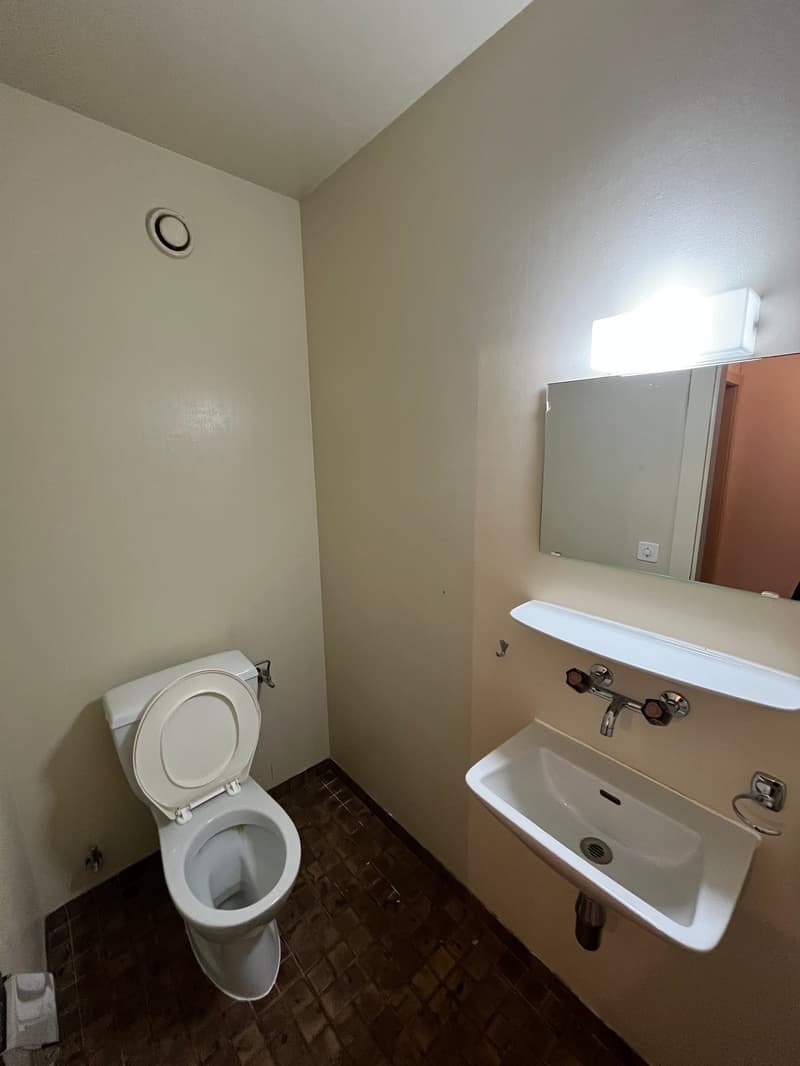 small room with toilet, sink, mirror and light