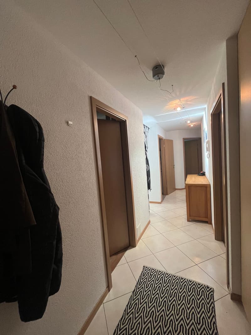 Magnifico appartamento di 4.5 locali a Vérossaz (7)