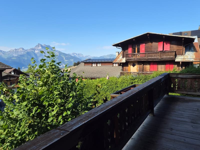 Affascinante appartamento di 1.5 locali a Chesières con balcone (2)