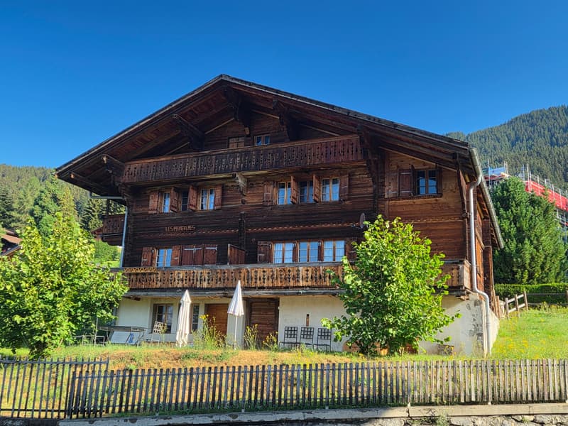 Affascinante appartamento di 1.5 locali a Chesières con balcone (1)