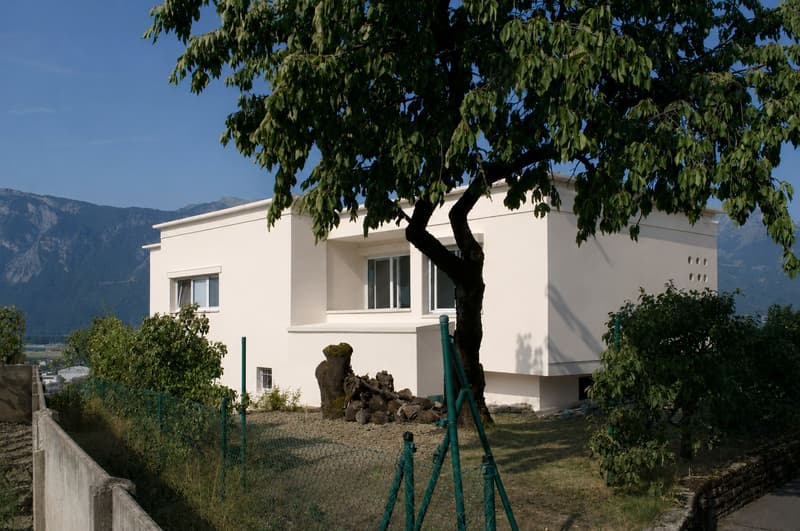 Villa d'exception à Aigle (2)