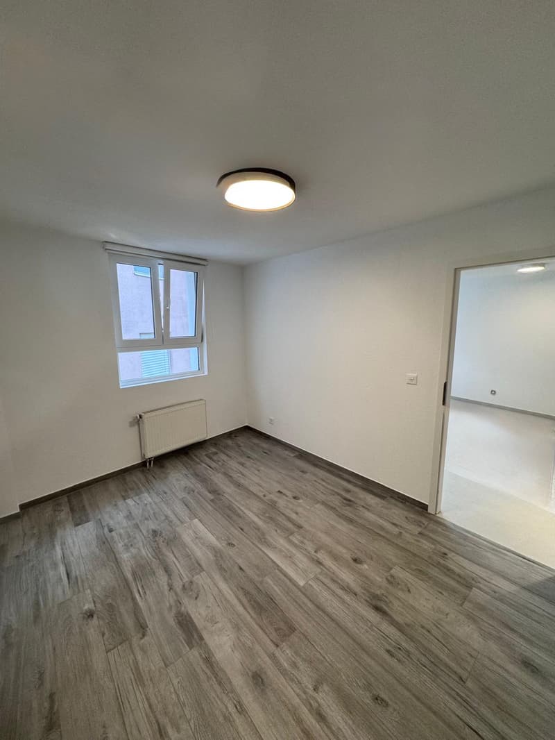 Appartement de 2 pièces rénové au 1er étage (6)