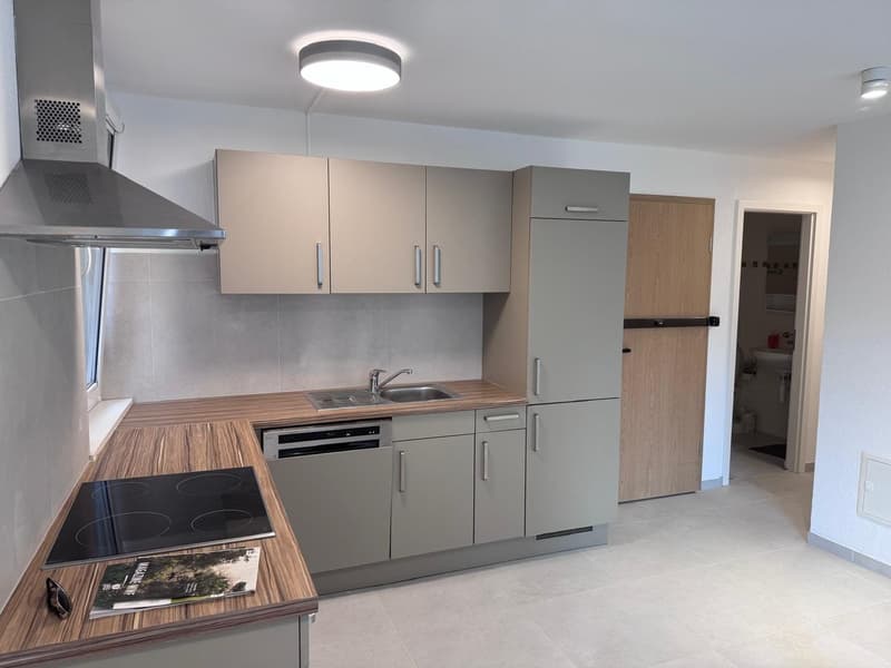 Appartement de 2 pièces rénové au 1er étage (5)