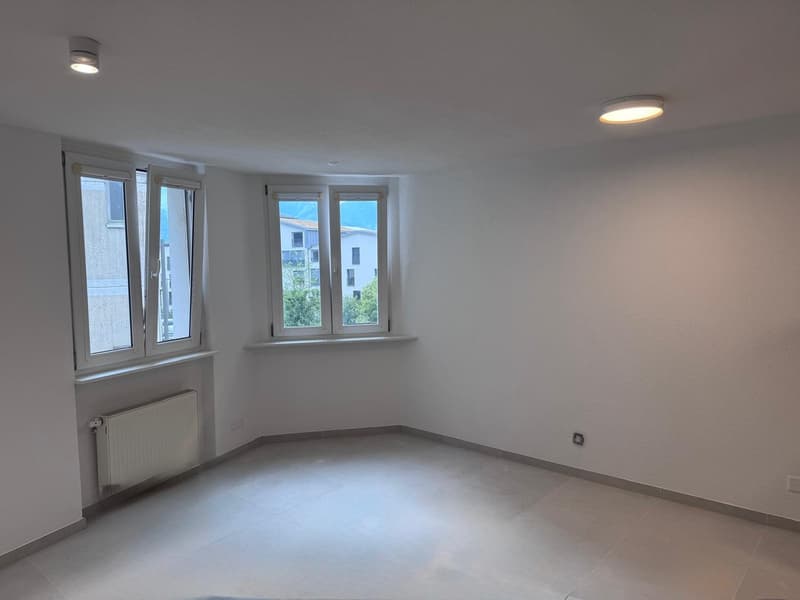 Appartement de 2 pièces rénové au 1er étage (3)
