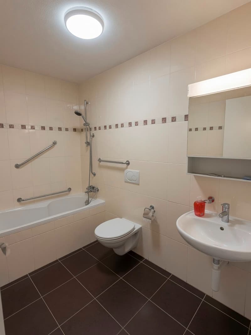 Appartement de 2 pièces rénové au 1er étage (8)