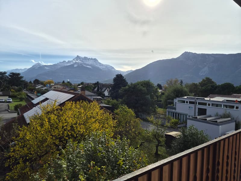 Appartement de 3 pièces à louer pour une durée déterminée (5)