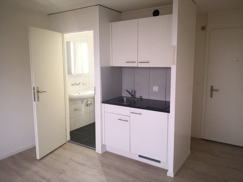 Studio with kitchenette, refrigerator, and separate WC and shower. (1)