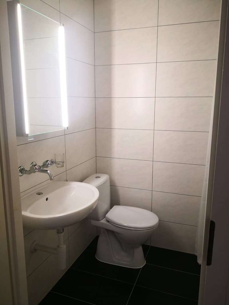 Studio with kitchenette, refrigerator, and separate WC and shower. (3)