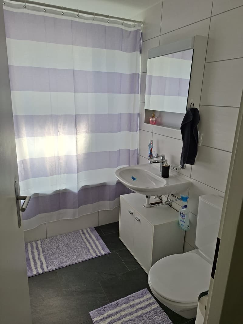 schöne 3.5 Zi. Wohnung mit grosser Terrasse (6)
