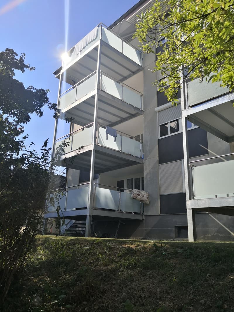 schöne 3.5 Zi. Wohnung mit grosser Terrasse (1)
