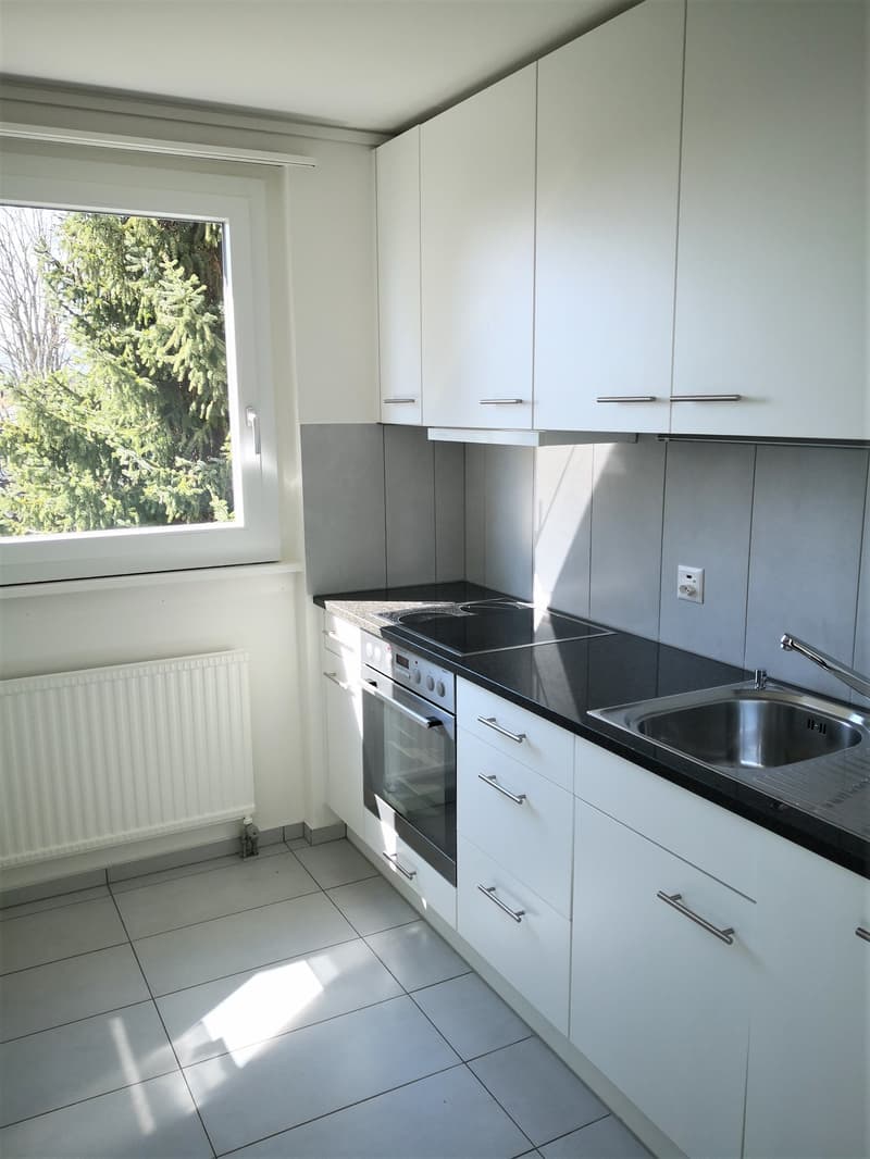 schöne 3.5 Zi. Wohnung mit grosser Terrasse (4)