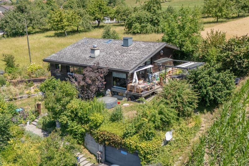 Living in the green, in a quiet and sunny hillside location (1)