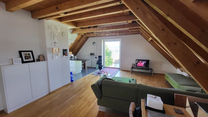 Livingroom, vorne links Küche