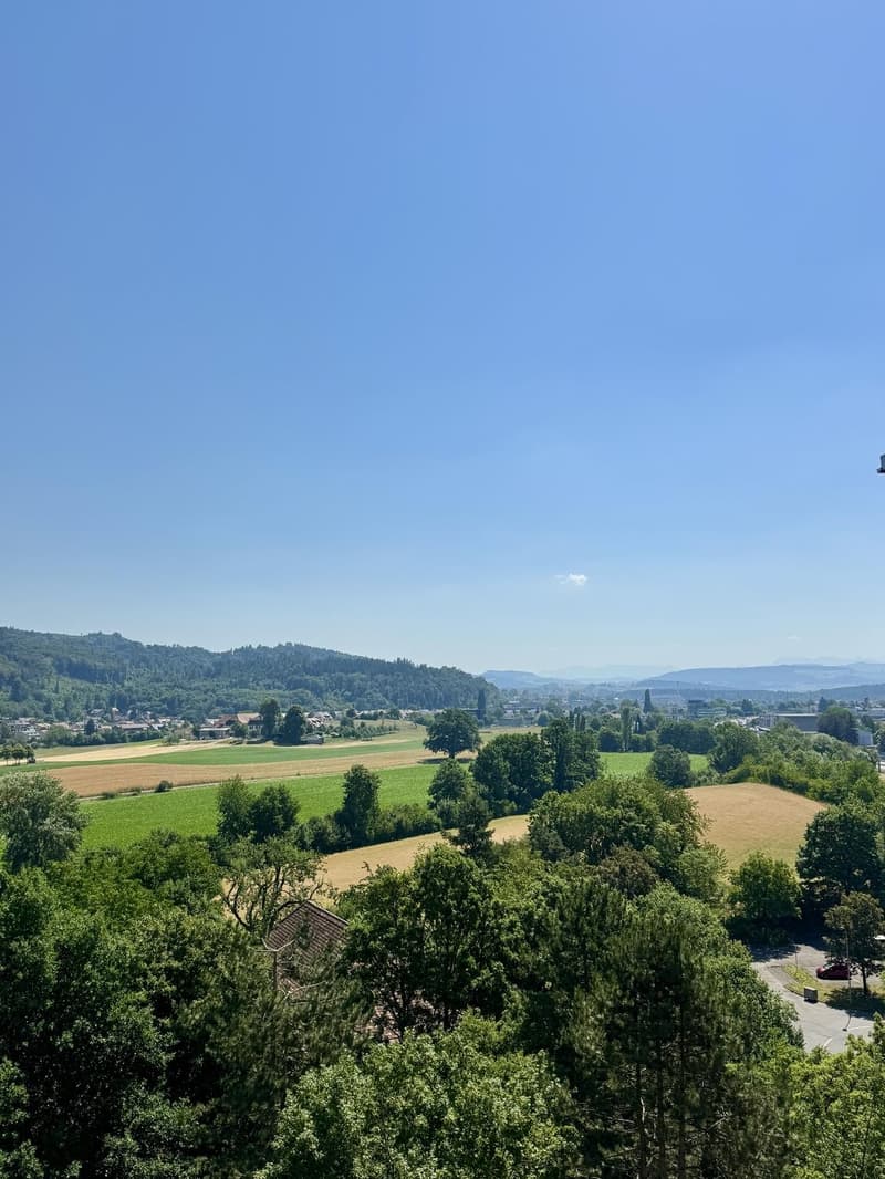 3 ½ Zimmer-Wohnung, 3015 Bern (4)