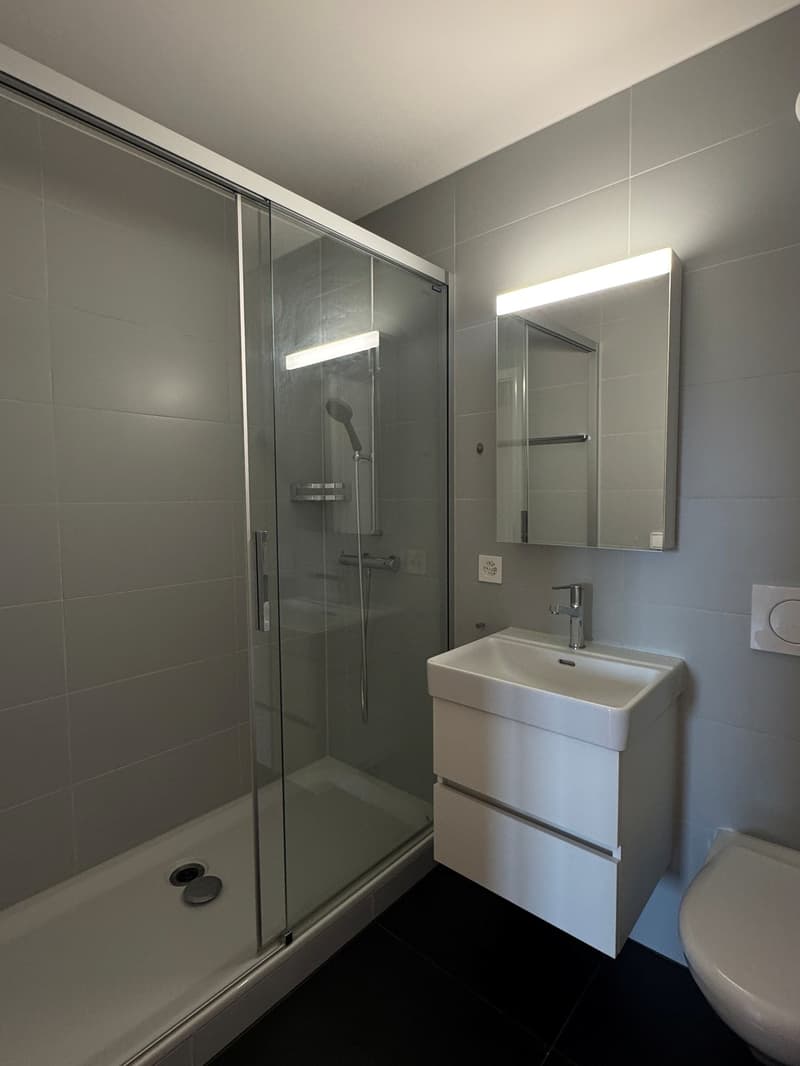 3 ½ Zimmer-Wohnung, 3015 Bern (10)
