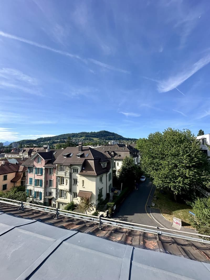 Wohnen im Weissenbühl Zentrale 3.5-Zimmer-Dachwohnung (7)