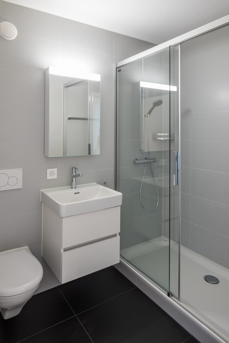 4.5 room apartment, 3015 Bern (3)