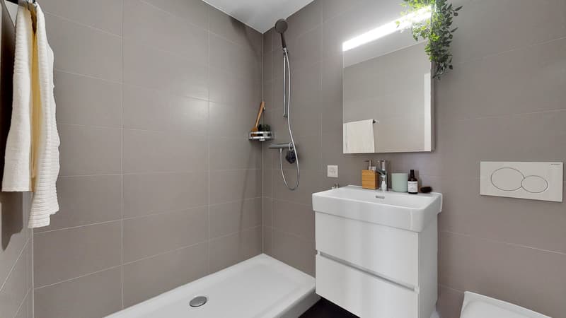 Frisch sanierte 4.5-Zimmerwohnung (7)