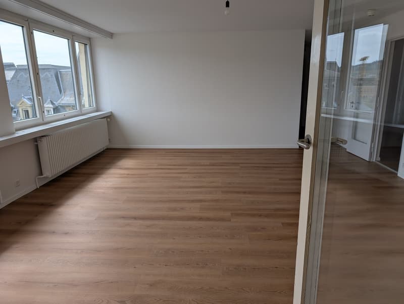 Wohnen im Museum mit Blick auf den Hausberg (3)