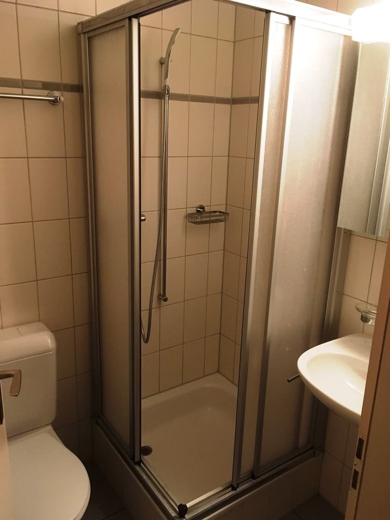 Familienwohnung mit Balkon (4)