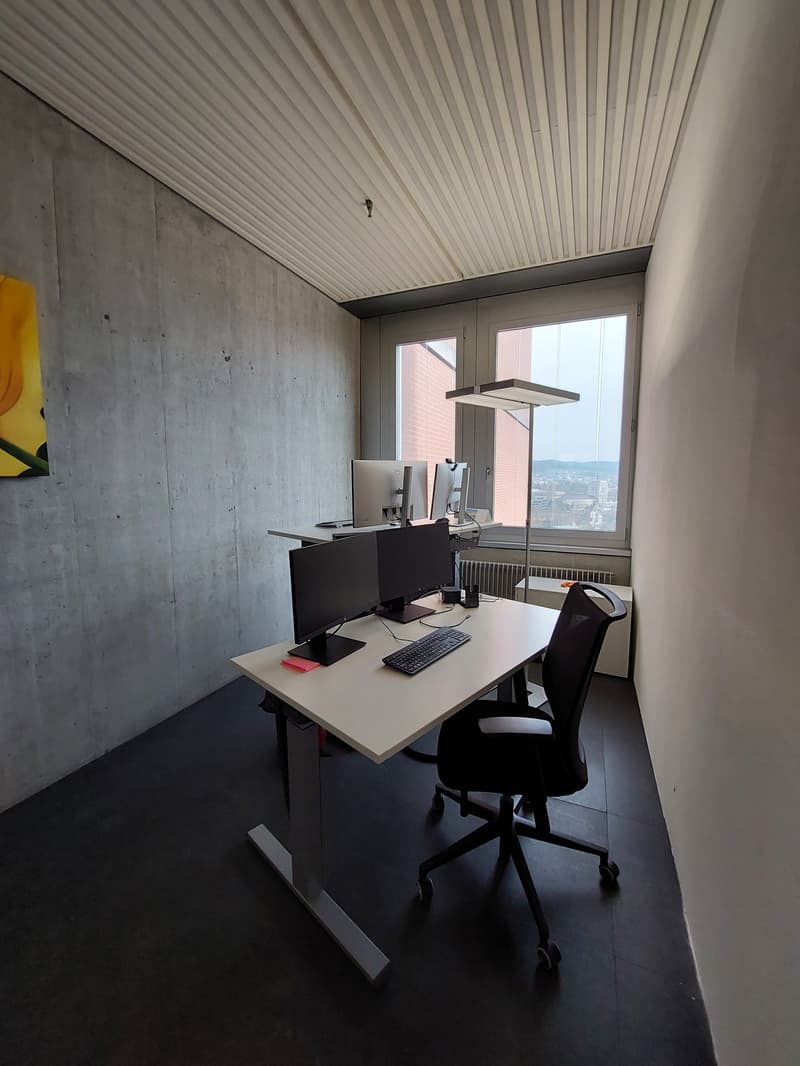Torre Rossa, 8400 Winterthur (13° piano) (6)