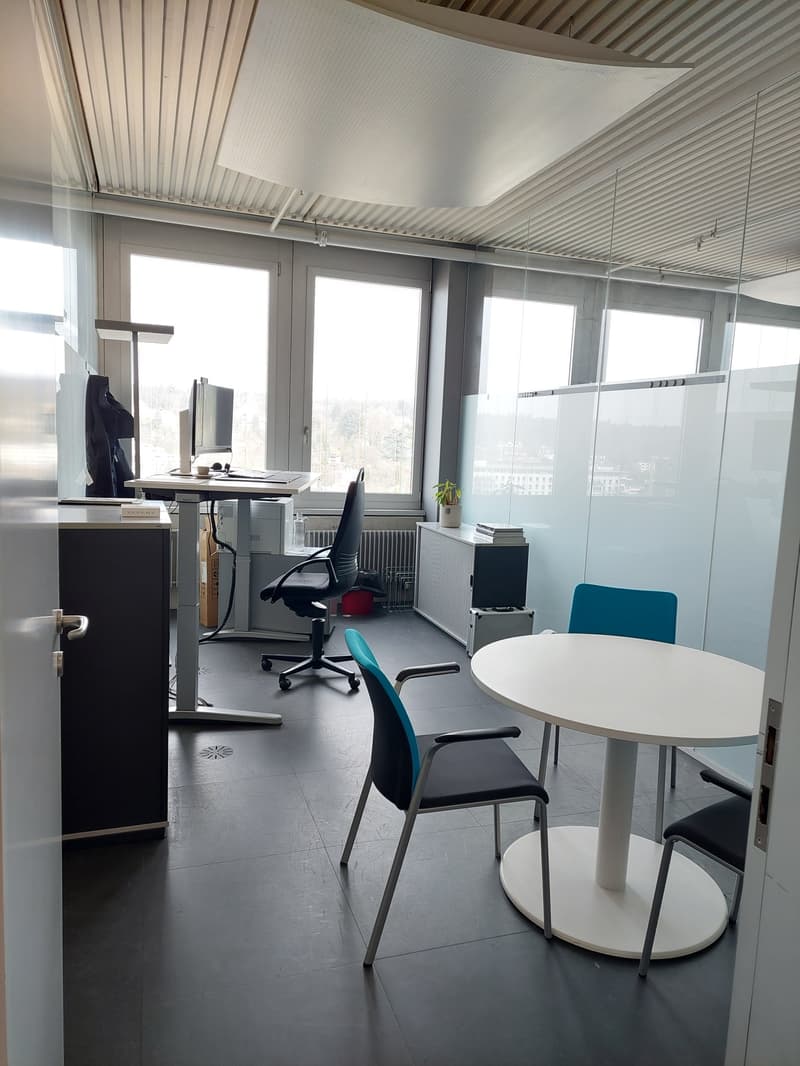 Torre Rossa, 8400 Winterthur (13° piano) (5)