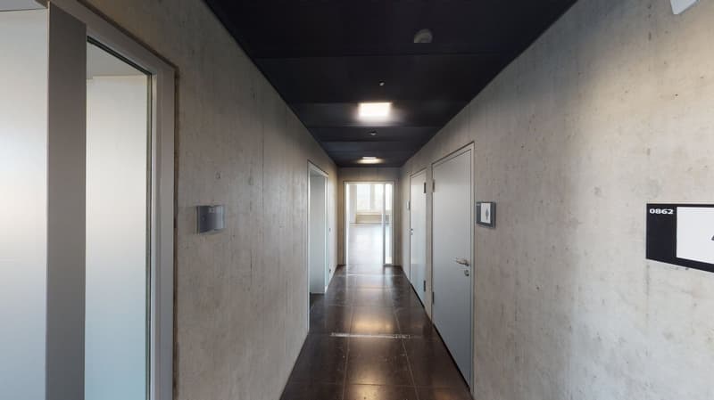 Torre Rossa, 8400 Winterthur (13° piano) (9)