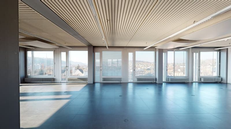 Torre Rossa, 8400 Winterthur (13° piano) (8)