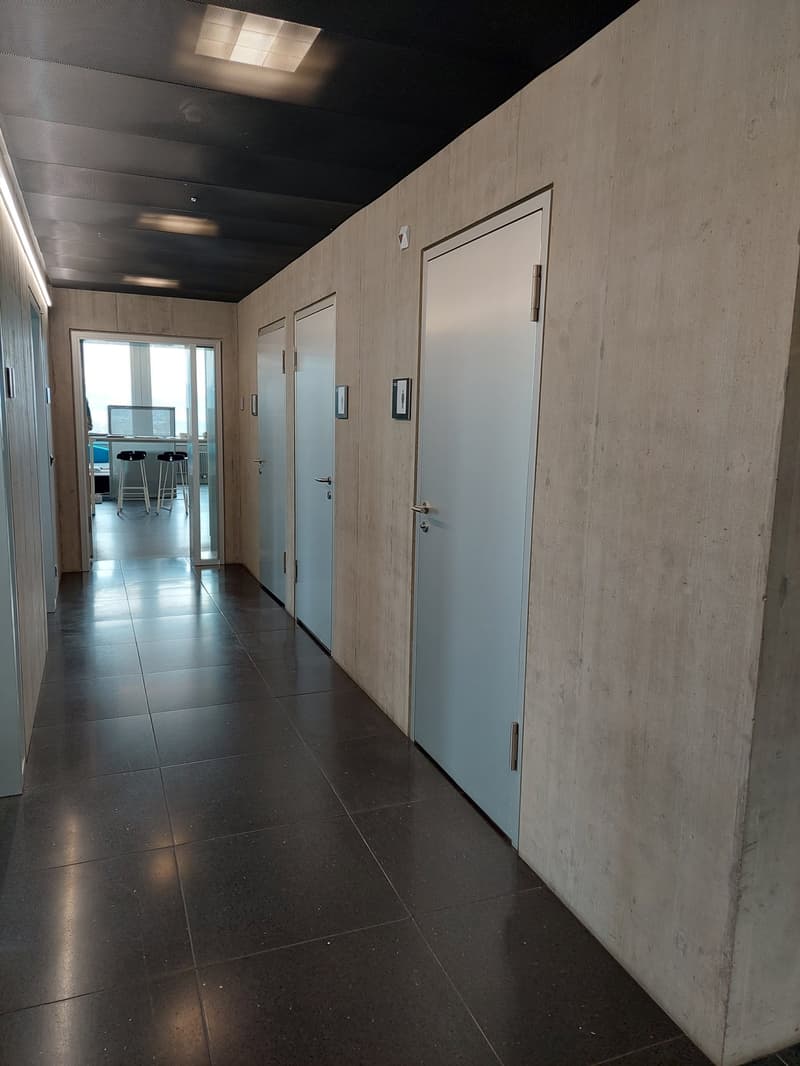 Torre Rossa, 8400 Winterthur (13° piano) (4)