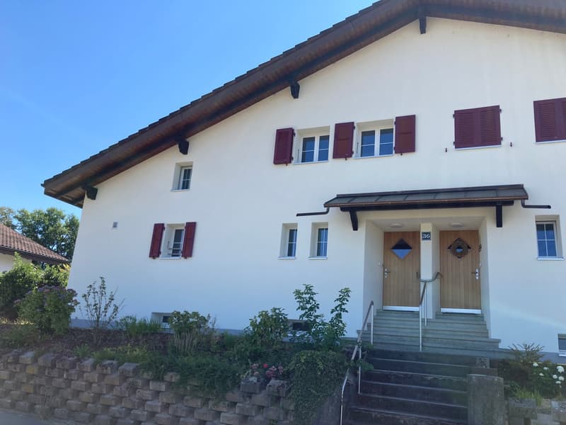 Eingangsbereich Seite Brandstrasse