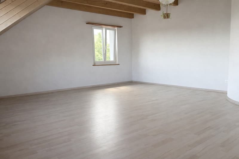 Charmant appartement maisonnette 4.5 pièces à Dottikon – disponible immédiatement ! (6)