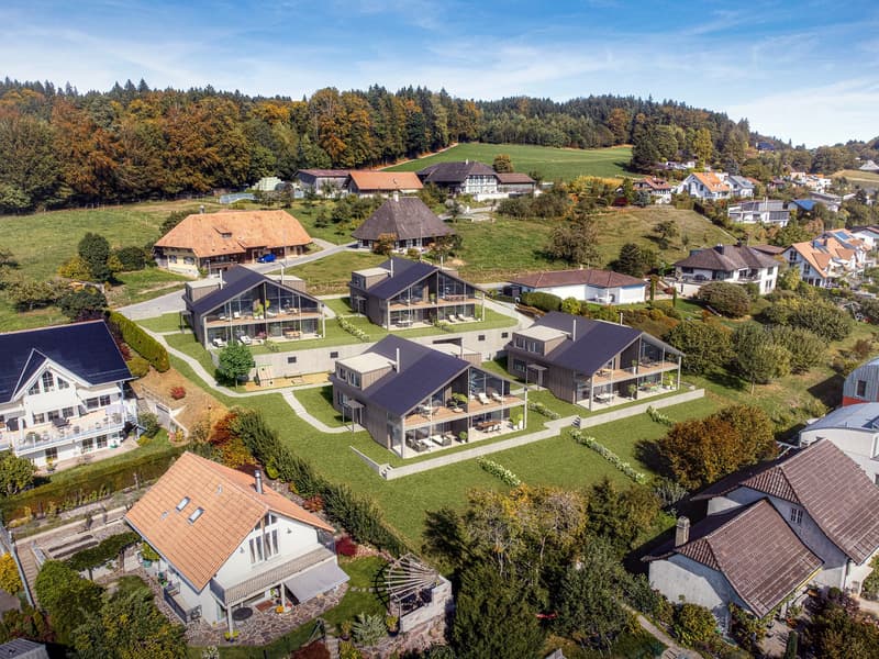 Ueberbauung Panorama (4)