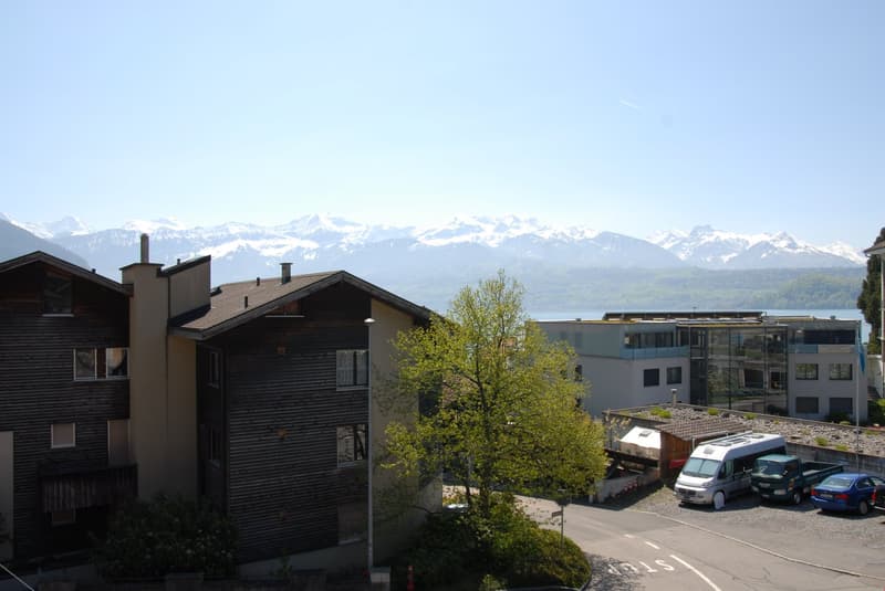Charmante 4-Zimmer-Terrassenwohnung mit Seeblick in Gunten (2)