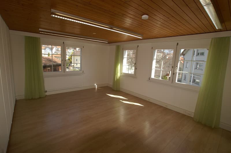 Spacious living room with wooden ceiling, large windows, hardwood flooring, and green curtains
