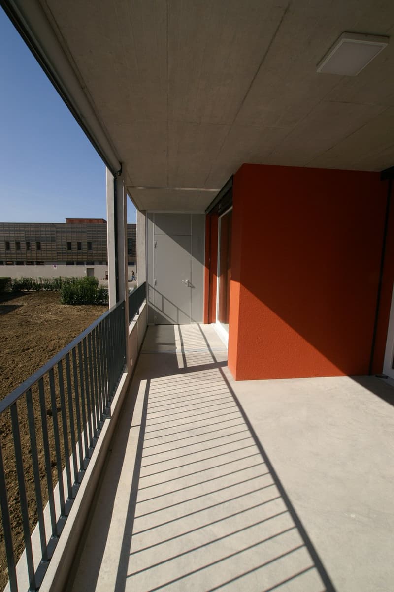 Appartamento luminoso, moderno 2 1/2 locali in ottima posizione centrale (5)