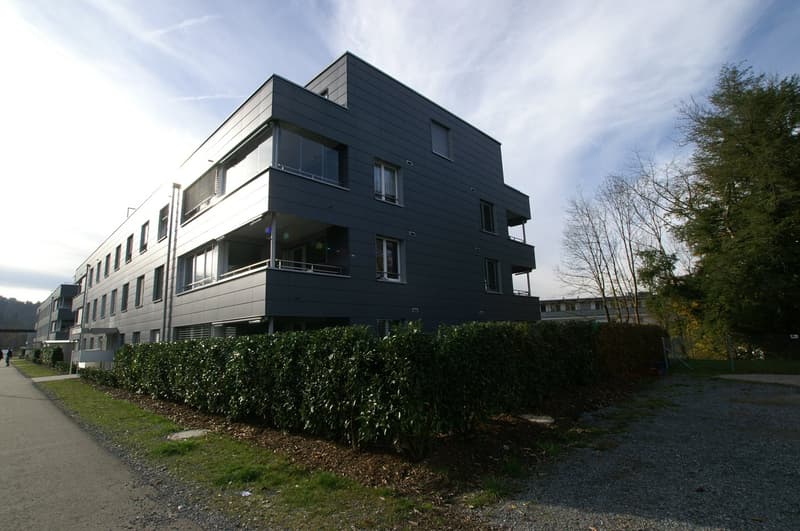 Moderne Wohnung im Erdgeschoss (1)