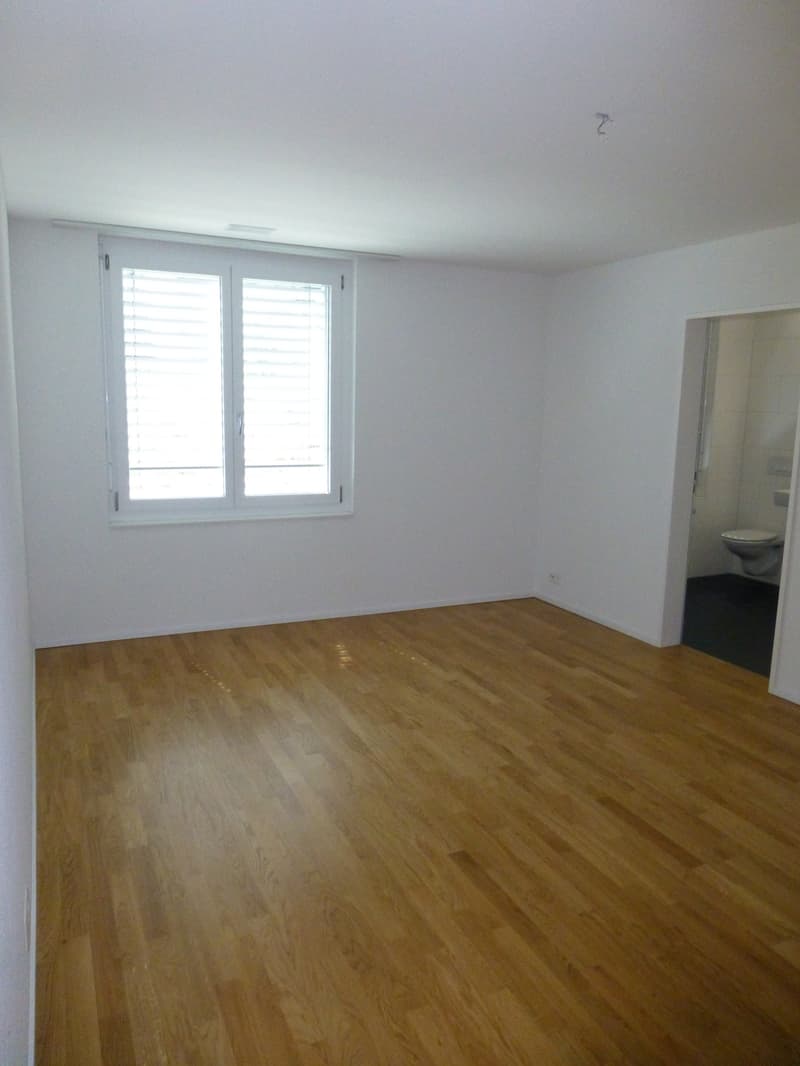 Moderne Wohnung im Erdgeschoss (9)