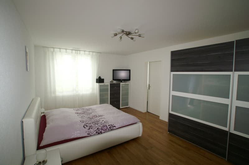 Moderne Wohnung im Erdgeschoss (6)