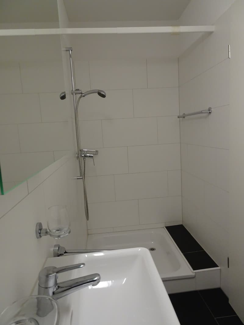 Moderne Wohnung im Erdgeschoss (8)
