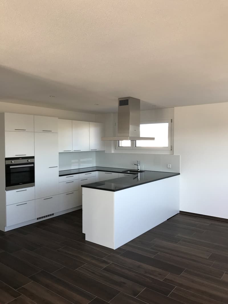Appartamento mansardato meraviglioso con grande terrazza (4)