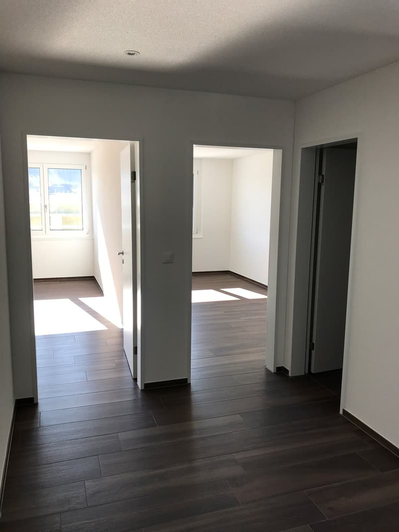 Appartamento mansardato meraviglioso con grande terrazza (8)