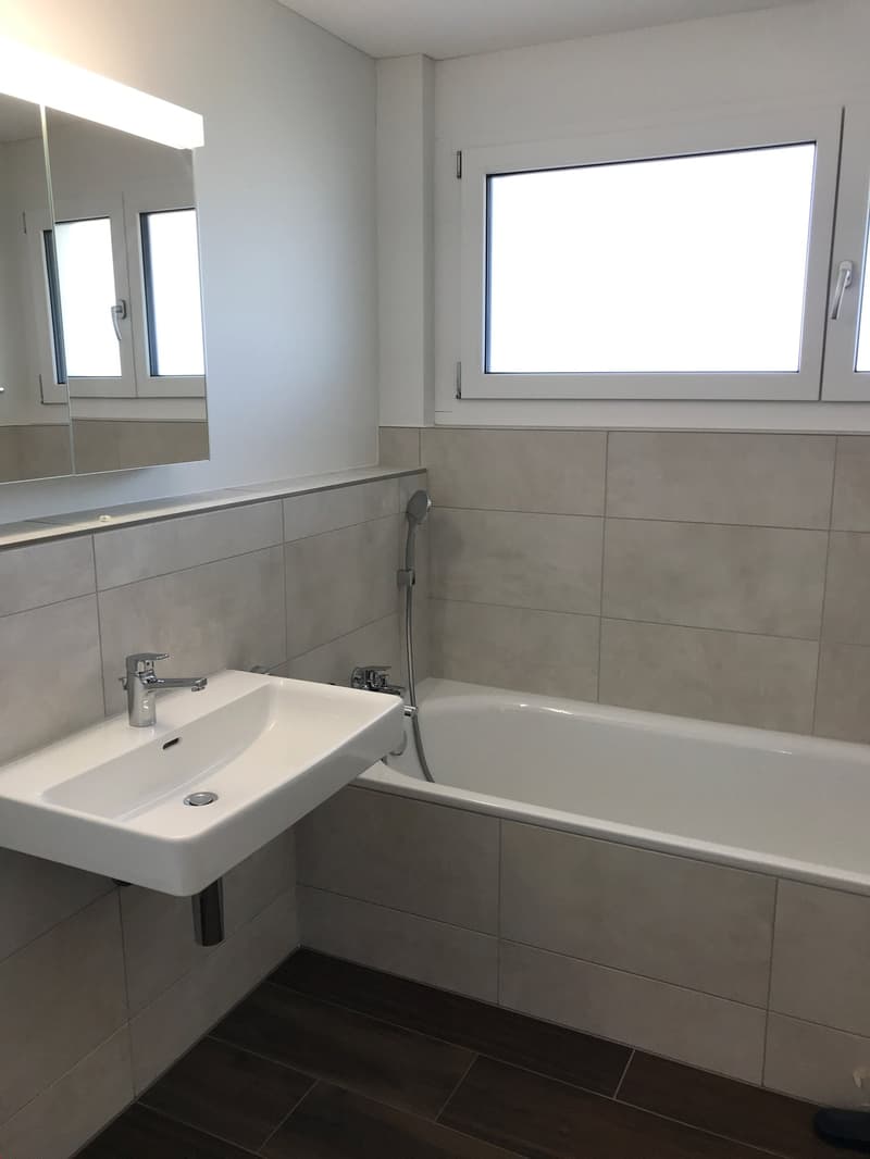 Appartamento mansardato meraviglioso con grande terrazza (12)