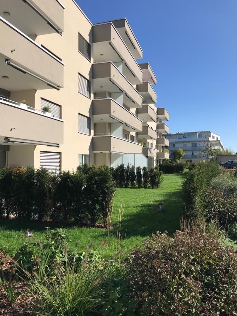 Appartamento mansardato meraviglioso con grande terrazza (2)