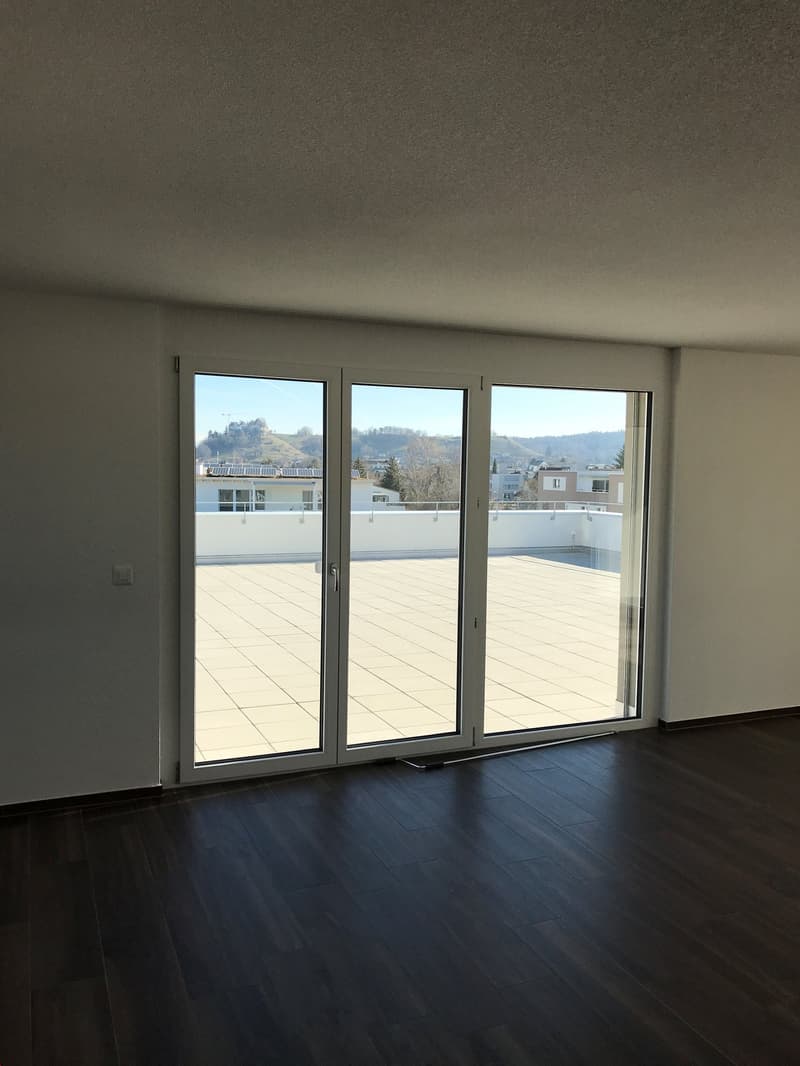 Appartamento mansardato meraviglioso con grande terrazza (11)