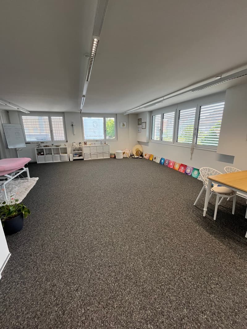 Office space/therapy room/treatment room (12)