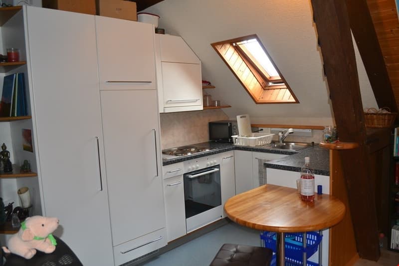 Appartement mansardé de 3 pièces confortable (6)