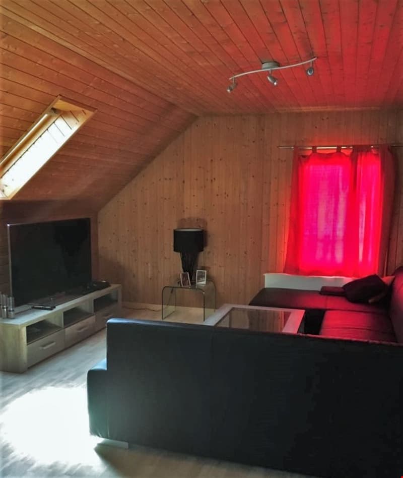 Appartement mansardé de 3 pièces confortable (11)